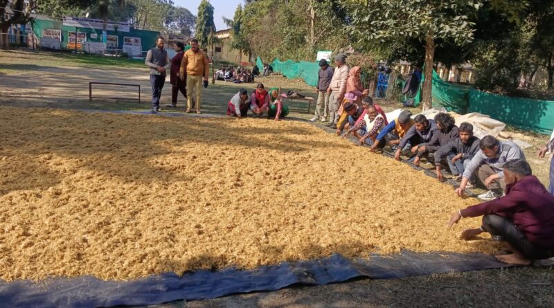 मशरूम उत्पादन से आत्मनिर्भरता की राह: द हंस फाउंडेशन की पहल