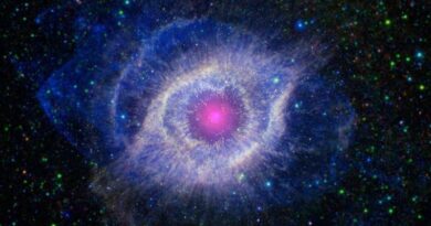 THE STAR BASICS ….