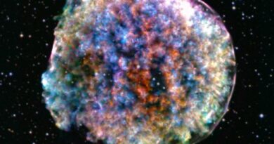 ब्रह्मांड के सितारे: जन्म, जीवन और मृत्यु