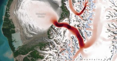 Satellites Detect Seasonal Pulses in Earth’s Glaciers