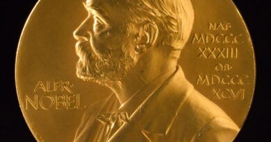 क्या नॉवेल पुरस्कार कोई खिलौना है, जिसे चाहे दे दो?