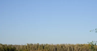 नासा और यूएसजीएस ने नदी के प्रवाह को मापने का नया तरीका खोजा