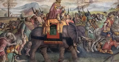 Elephant Bone in Spain May Be Proof of Hannibal’s Tanks With Trunks