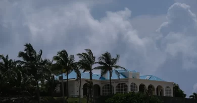 Conspiracy Theories Only Flourish With More Epstein Evidence