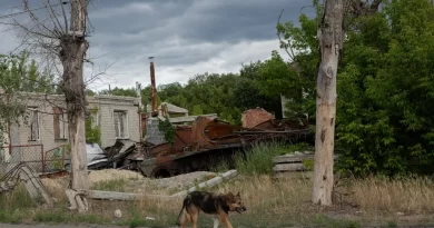 यूक्रेन युद्ध की मार इंसानों तक ही सीमित नहीं, यूक्रेन के कुत्ते भी बदल गए