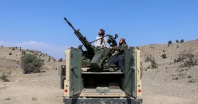 क्यों लड़ रहे हैं पाकिस्तान और अफगानिस्तान ?