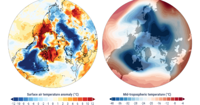 उत्तरी गोलार्ध में कड़ाके की ठंड के बावजूद जनवरी 2026 रहा पांचवां सबसे गर्म महीना