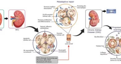 नए अनुसंधान लाखों मधुमेह रोगियों के लिए उम्मीद की किरण