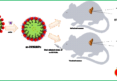 काला-अजार और अन्य उपेक्षित रोगों के लिए राहत ला सकता है ओरल नैनोमेडिसिन