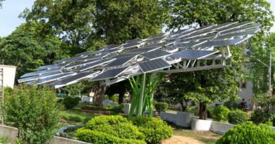 सीएसआईआर-सीएमईआरआई ने विश्व का सबसे बड़ा सौर वृक्ष विकसित किया