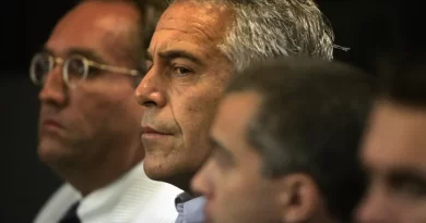 At Dinners, Over Jokes With Comedians, Epstein Honed His Networking