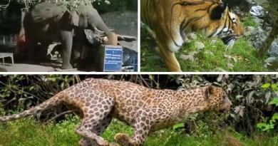 उत्तराखंड में वन्य जीवों से नुकसान पर मुआवजे का दायरा बढ़ा