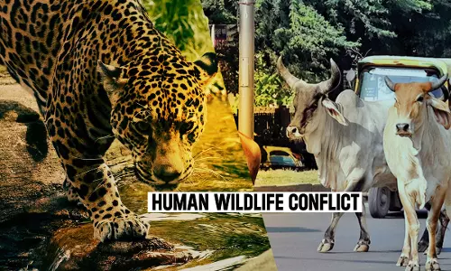 विश्व वन्यजीव दिवस पर बढ़ते मानव–वन्यजीव संघर्ष पर चिंतन गोष्ठी