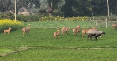 किसानों की फसल बचाने को केंद्र से उत्तराखंड को मिले 25 करोड़