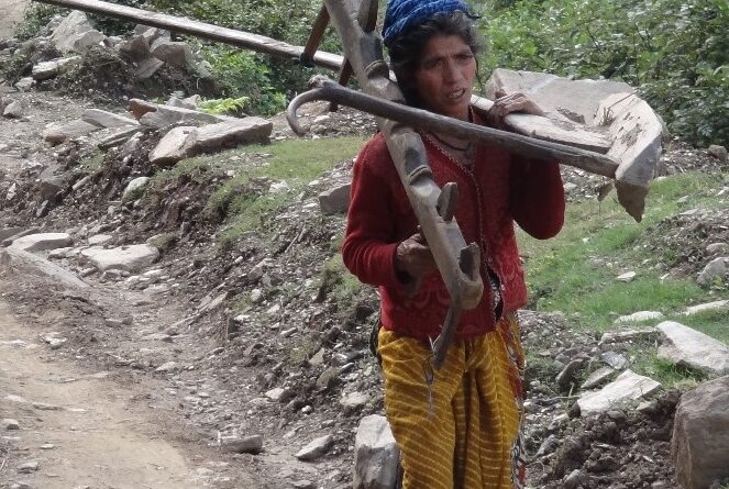 राजनीतिक खोखलापन और पहाड़ी विकास का प्रश्न