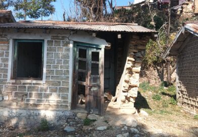 उद्यान सचल केन्द्र पोखरी का भवन जर्जर, पुनर्निर्माण की उठी मांग उद्यान सचल केन्द्र पोखरी का भवन जर्जर, पुनर्निर्माण की उठी मांग