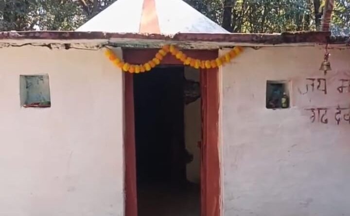 नागनाथ गढ़ी राजराजेश्वरी मंदिर में चैत्र नवरात्र पर नौ दिवसीय अनुष्ठान 19 से