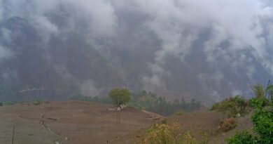 मूसलाधार बारिश से जनजीवन प्रभावित, किसानों के चेहरे खिले मूसलाधार बारिश से जनजीवन प्रभावित, किसानों के चेहरे खिले