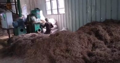 अब कबाड़ नहीं, कमाई का जरिया है चीड़ की पत्तियां