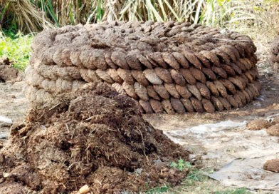 मध्य पूर्व में युद्ध और भारत की ऊर्जा सुरक्षा मध्य पूर्व में युद्ध और भारत की ऊर्जा सुरक्षा