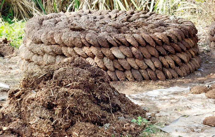 मध्य पूर्व में युद्ध और भारत की ऊर्जा सुरक्षा