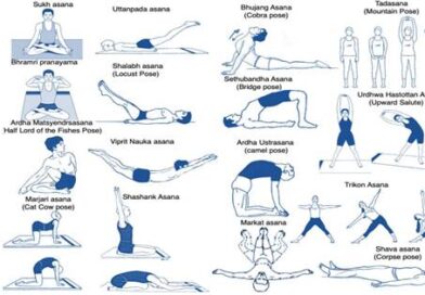 कमर दर्द से हैं परेशान? AIIMS के शोध ने बताया योग का चमत्कार!