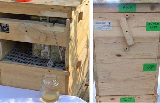 वैज्ञानिकों ने किया मधुमक्खियों के छत्ते में सुधार, मिलेगा गुणवत्तापूर्ण शहद