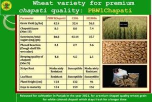 पीबीडब्ल्यू-1 चपाती की मुख्य विशेषताएं