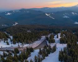 हिमालयी पारिस्थितिकी तंत्र में हरियाली का संकट और बदलता स्वरूप