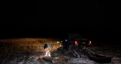 Targeted Hunts Were Supposed to Curb ‘Zombie Deer Disease.’ Now What?