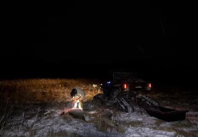 Targeted Hunts Were Supposed to Curb ‘Zombie Deer Disease.’ Now What?