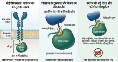 कैंसर के इलाज में बड़ी कामयाबी: वैज्ञानिकों ने ढूँढा ‘सोते हुए’ एंजाइम का रहस्य
