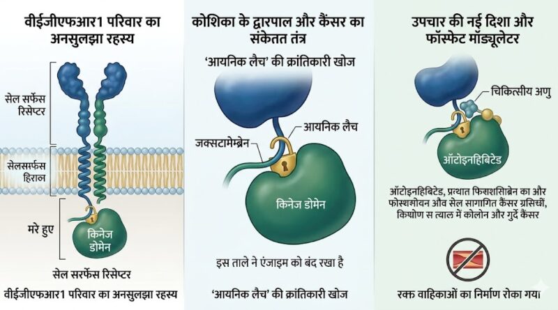 कैंसर के इलाज में बड़ी कामयाबी: वैज्ञानिकों ने ढूँढा ‘सोते हुए’ एंजाइम का रहस्य