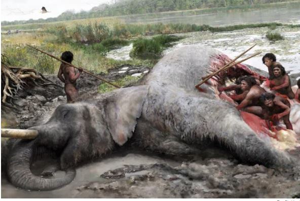 Were Neanderthals Able to Hunt Elephants? The Proof Is in an Ancient Bone