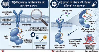 कोशिका के भीतर कैंसर रोधी तंत्र की एक सूक्ष्म खोज