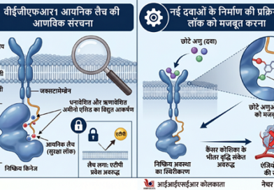 कोशिका के भीतर कैंसर रोधी तंत्र की एक सूक्ष्म खोज