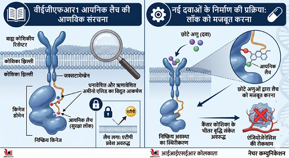कोशिका के भीतर कैंसर रोधी तंत्र की एक सूक्ष्म खोज
