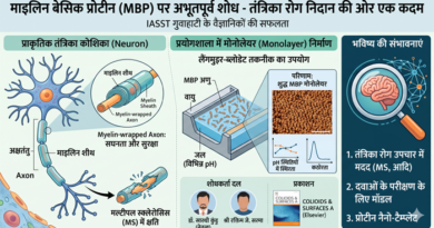 वैज्ञानिकों ने तैयार की ‘माइलिन प्रोटीन’ की विशेष परत