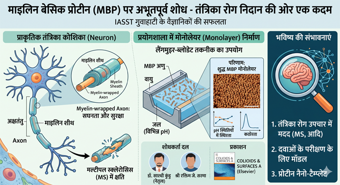 वैज्ञानिकों ने तैयार की ‘माइलिन प्रोटीन’ की विशेष परत