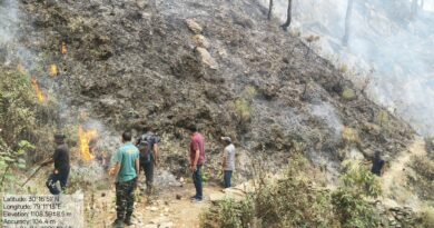 नागनाथ रेंज के जंगलों में भीषण आग, वन संपदा को भारी नुकसान