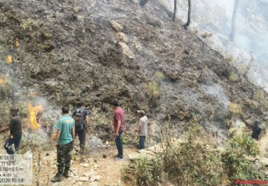 नागनाथ रेंज के जंगलों में भीषण आग, वन संपदा को भारी नुकसान