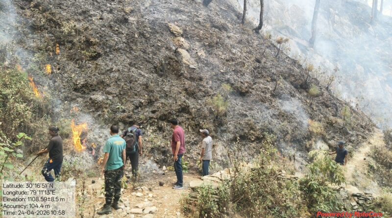 नागनाथ रेंज के जंगलों में भीषण आग, वन संपदा को भारी नुकसान