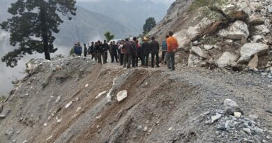 ओलावृष्टि से घेस घाटी में फसलें चौपट, सड़क भी बाधित