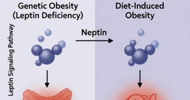 मोटापे और पेट के कैंसर के बीच संबंध की आणविक स्तर पर खोज की गई