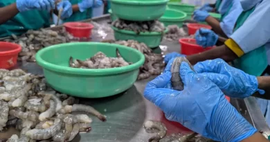 भारत का सीफूड निर्यात: वृद्धि से वैश्विक प्रतिस्पर्धा तक