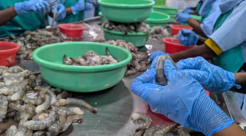 भारत का सीफूड निर्यात: वृद्धि से वैश्विक प्रतिस्पर्धा तक