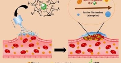 दुर्घटनाओं के दौरान तेजी से बहते खून को रोकने के लिए स्टार्च-आधारित सामग्री विकसित की गई