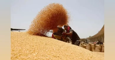 उत्तराखंड में गेंहू खरीद का लक्ष्य 5 लाख कुंतल हुआ , पहले था दस हजार