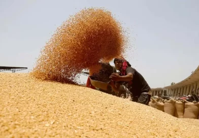 उत्तराखंड में गेंहू खरीद का लक्ष्य 5 लाख कुंतल हुआ , पहले था दस हजार उत्तराखंड में गेंहू खरीद का लक्ष्य 5 लाख कुंतल हुआ , पहले था दस हजार