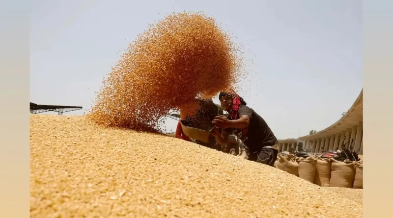 उत्तराखंड में गेंहू खरीद का लक्ष्य 5 लाख कुंतल हुआ , पहले था दस हजार
